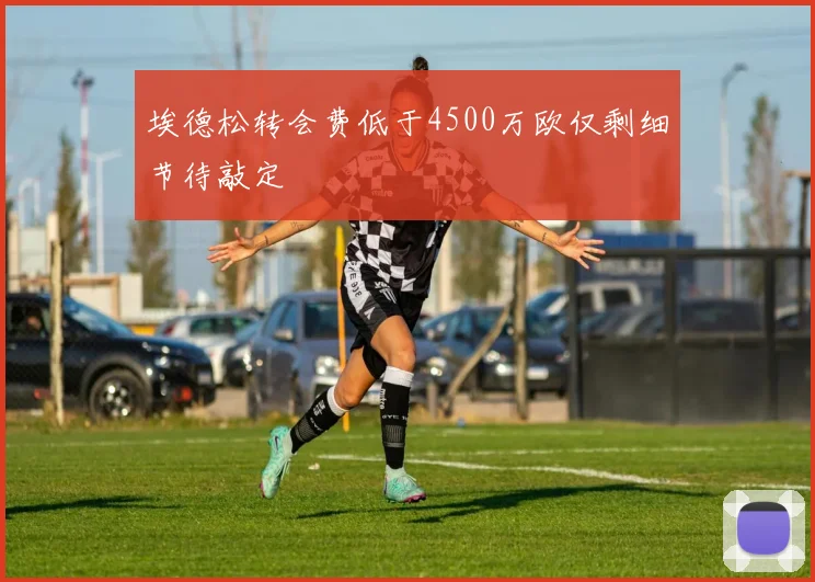 埃德松转会费低于4500万欧仅剩细节待敲定
